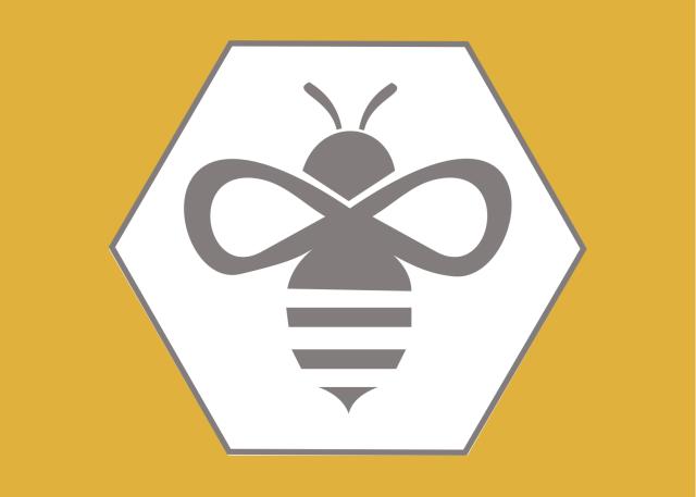 Apis Partners